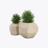 product-image-7_optimized Odio Pellentesque